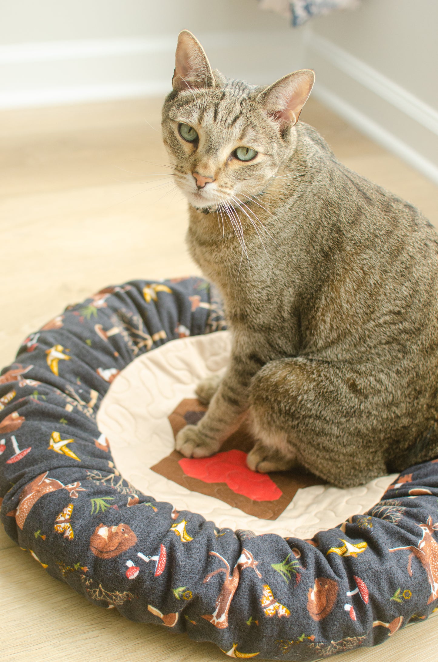 Dainty Paws Quilted Pet Bed Pattern *DIGITAL PDF*