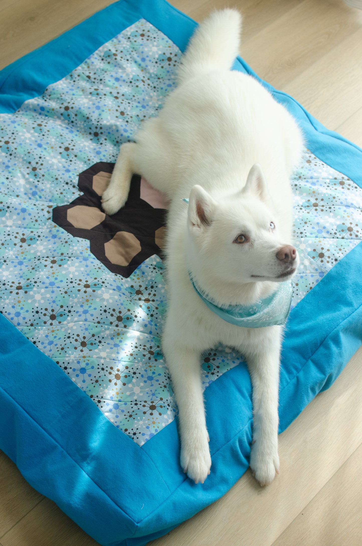 Dainty Paws Quilted Pet Bed Pattern *DIGITAL PDF*